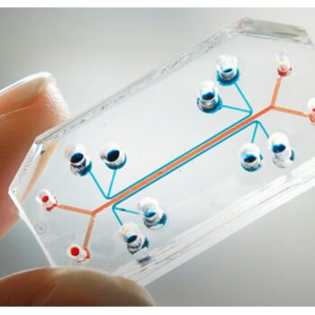 Lab on a chip
